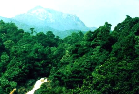 龙岩梁野山天气