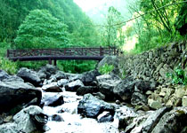 遂昌飞石岭景区天气