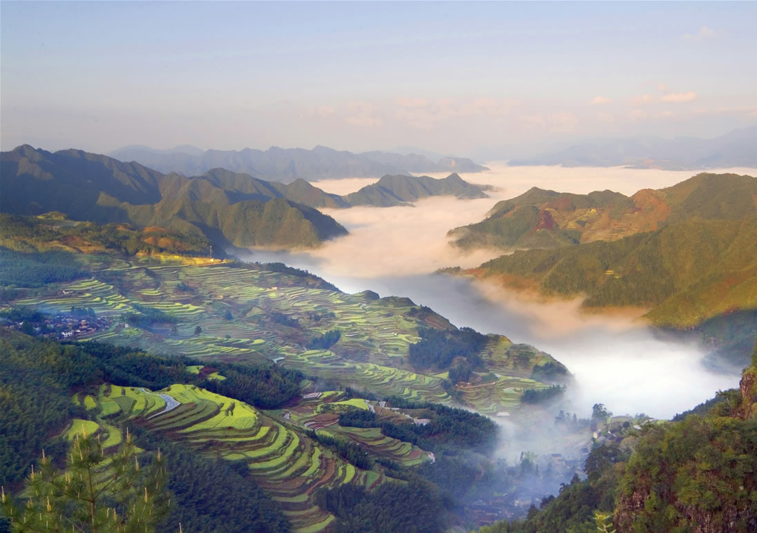 丽水遂昌南尖岩天气