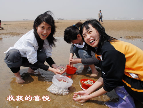 日照刘家湾赶海园天气