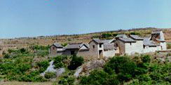 高平崇明寺天气