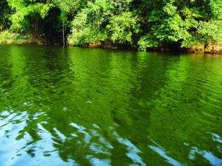 成都烟霞湖天气